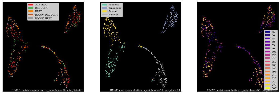 ../../_images/UMAP_Embeddings_4_0.png